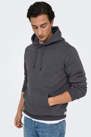Only & Sons Ceres Hoodie Gris Rayé