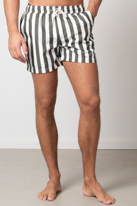 Clean Cut Copenhagen Swim Shorts Bottle Stripe