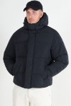 Jack & Jones Bradley Puffer Hood Black